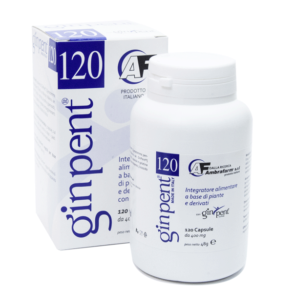 ginpent 120 integratore alimentare